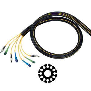 AS-FSC-12