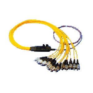 AS-ODF-12WQ